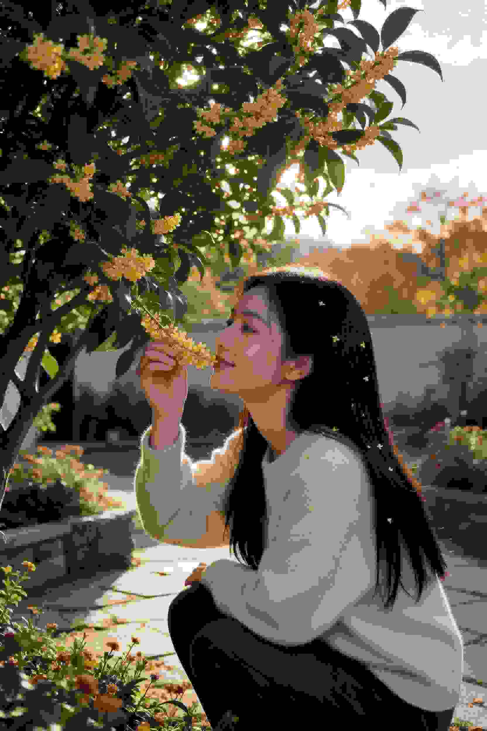 新白娘子传奇